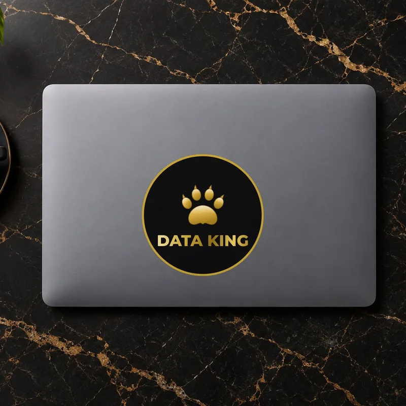 Data King Sticker